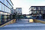 ant_1536.jpg