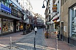 ant_1551.jpg