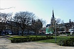 ant_1554.jpg