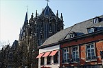 ant_1563.jpg
