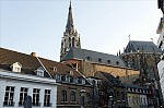 ant_1612.jpg