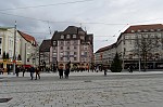 ant_0547.jpg