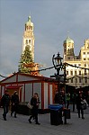 ant_0572.jpg