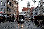 ant_0589.jpg