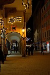 ant_0669.jpg
