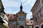 ant_9588.jpg