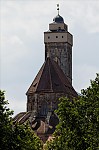 ant_9621.jpg