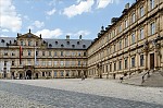 ant_9678.jpg