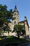 ant_9823.jpg