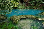 ant_0340.jpg