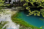 ant_0379.jpg