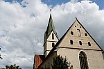 ant_0391.jpg