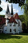 ant_0427.jpg