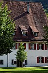 ant_0431.jpg