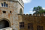 ant_0453.jpg