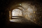 ant_0473.jpg
