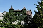 ant_0566.jpg
