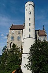 ant_0575.jpg