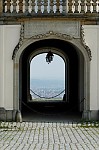 ant_1149.jpg