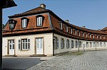 ant_1152.jpg