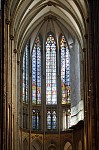 ant_1413.jpg