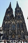 ant_1422.jpg