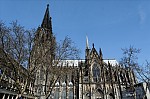 ant_1429.jpg