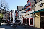 ant_1438.jpg