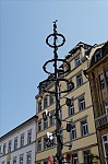 ant_1407.jpg