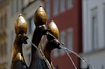 ant_1416.jpg