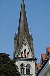 ant_1433.jpg