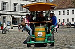 ant_1456.jpg