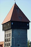 ant_1641.jpg