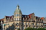 ant_1647.jpg