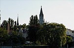 ant_1662.jpg