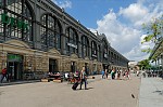 ant_4016.jpg