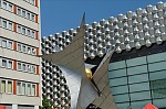 ant_4018.jpg