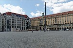ant_4034.jpg