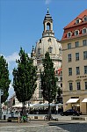 ant_4038.jpg