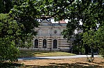 ant_4137.jpg