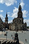 ant_4200.jpg