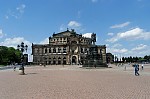 ant_4239.jpg