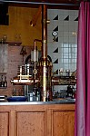 ant_4360.jpg