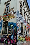 ant_4428.jpg