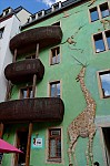 ant_4446.jpg