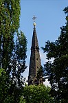 ant_4547.jpg