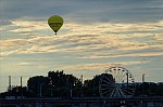 ant_4557.jpg