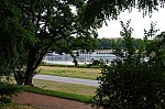 ant_4619.jpg