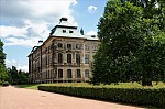 ant_4675.jpg