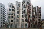 ant_1036.jpg